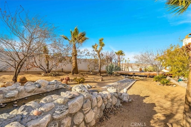7423 Juniper Rd, Joshua Tree, CA 92252 - view of yard