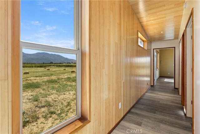 3155 Soda Bay Rd, Lakeport, CA 95453 - corridor with wooden walls, a mountain view, dark wood finished floors, and wooden ceiling