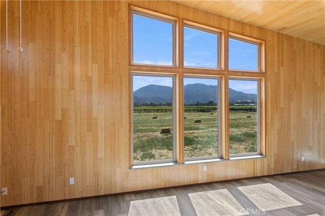 3155 Soda Bay Rd, Lakeport, CA 95453 - unfurnished room featuring a mountain view, wood walls, wood finished floors, and a rural view