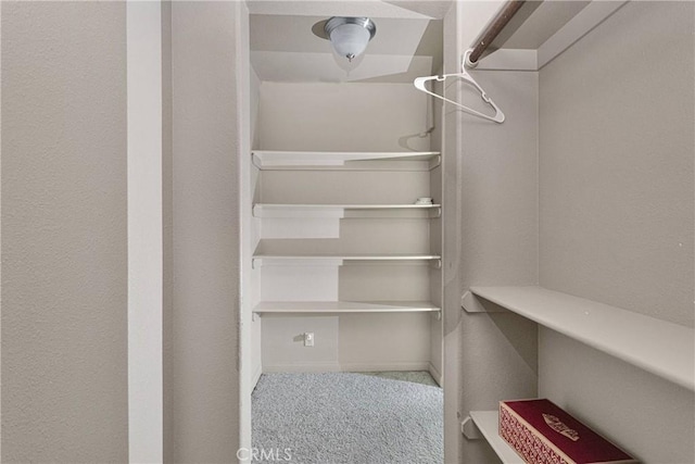 810 Oakmont Ln, Lake Arrowhead, CA 92352 - spacious closet with carpet