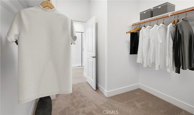 233 Carmelita Ln, Tehachapi, CA 93561 - walk in closet featuring carpet flooring