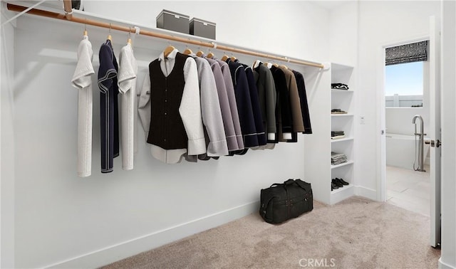 233 Carmelita Ln, Tehachapi, CA 93561 - walk in closet featuring carpet flooring