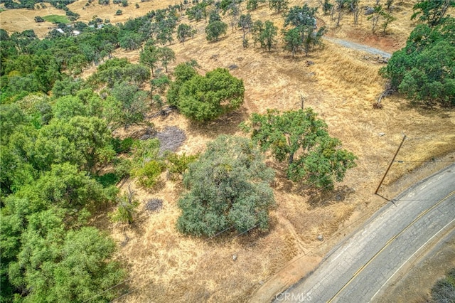 5 Cardinal Ln, Squaw Valley, CA 93675 - photo 13