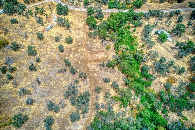5 Cardinal Ln, Squaw Valley, CA 93675 - photo 9