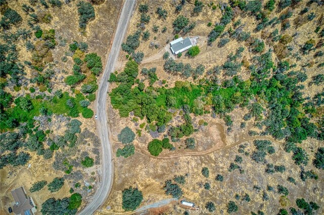 5 Cardinal Ln, Squaw Valley, CA 93675 - photo 10