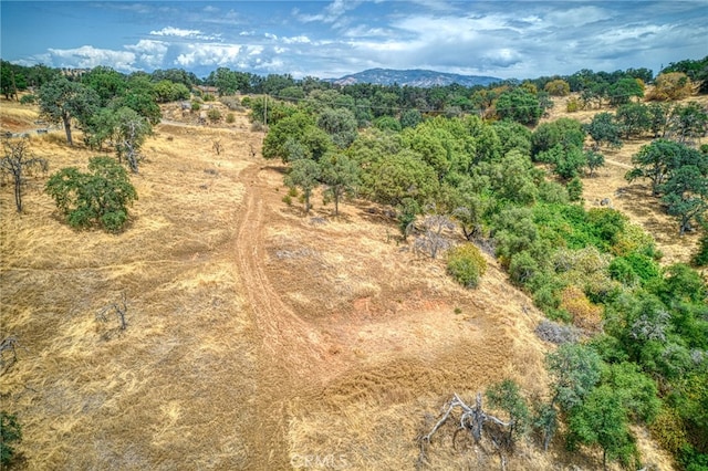 5 Cardinal Ln, Squaw Valley, CA 93675 - photo 4