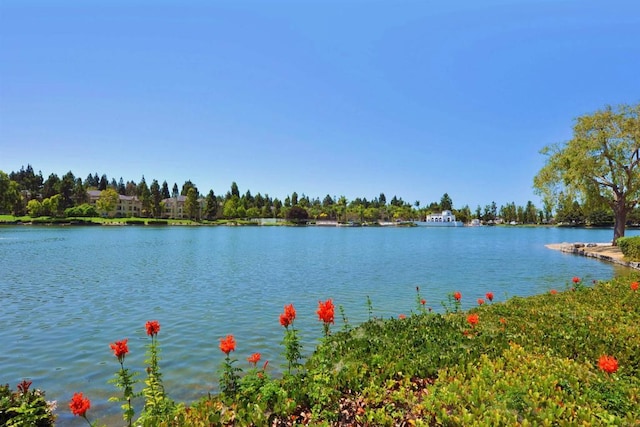 845 Ridgewater Dr, Chula Vista, CA 91913 - photo 45