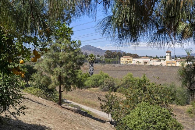 845 Ridgewater Dr, Chula Vista, CA 91913 - photo 38