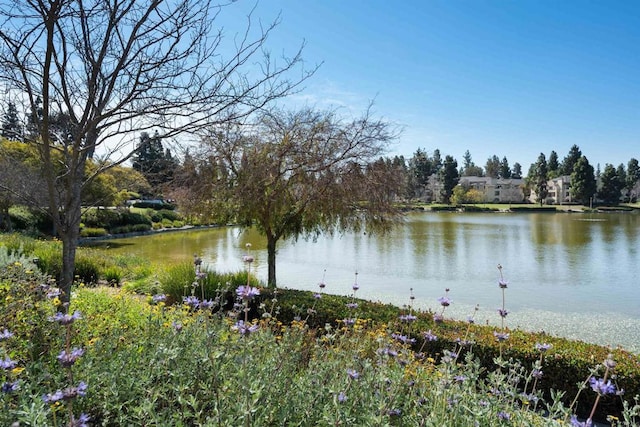 845 Ridgewater Dr, Chula Vista, CA 91913 - photo 39