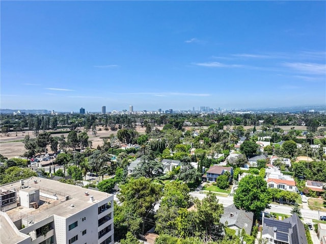 532 N Rossmore Ave Unit 411, Los Angeles, CA 90004 - view of urban area