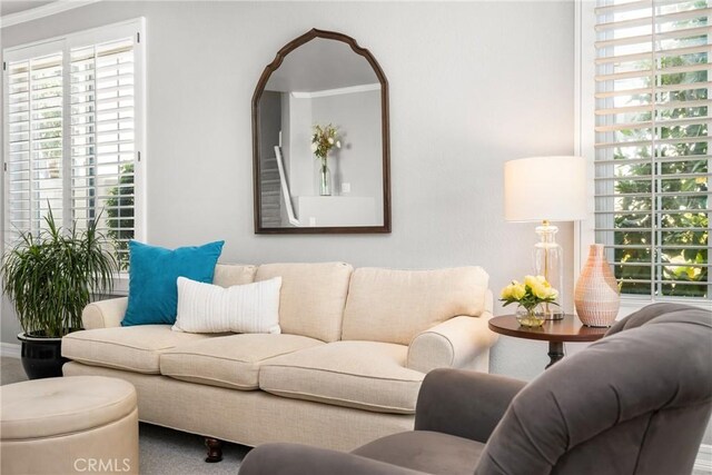 8507 E Heatherview Ln, Orange, CA 92869 - carpeted living room with ornamental molding