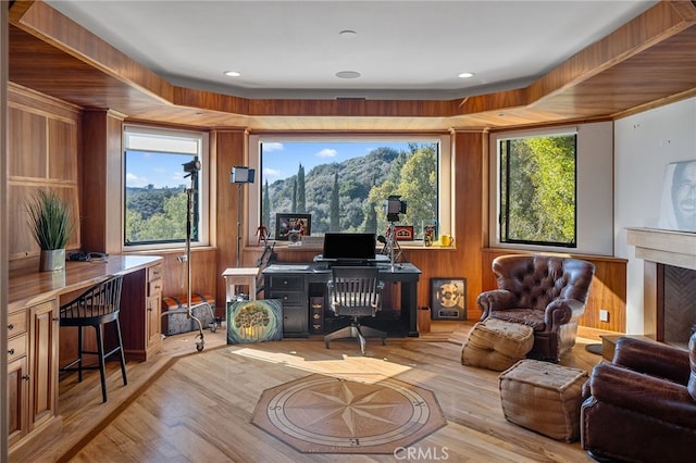 30671 Steeplechase Dr, San Juan Capistrano, CA 92675 - home office with wood finished floors, a fireplace, and wood walls