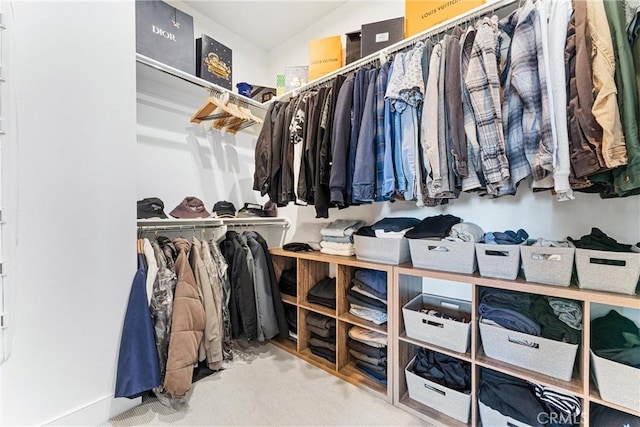 183 Plum Lily, Irvine, CA 92618 - walk in closet featuring carpet flooring and vaulted ceiling
