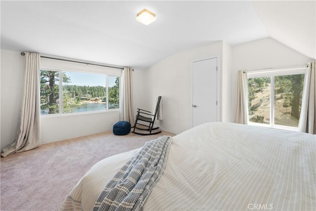 38947 Big Bear Blvd, Big Bear Lake, CA 92315 - photo 28