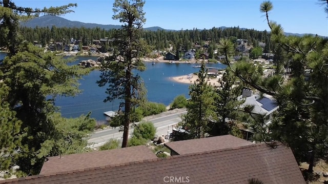 38947 Big Bear Blvd, Big Bear Lake, CA 92315 - photo 39