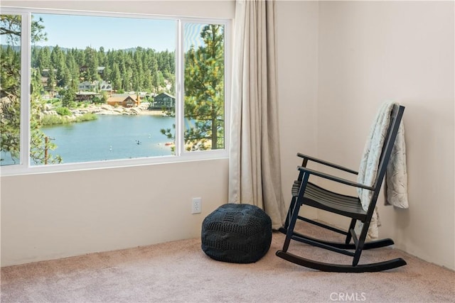 38947 Big Bear Blvd, Big Bear Lake, CA 92315 - photo 29