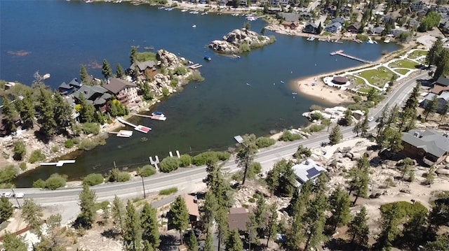 38947 Big Bear Blvd, Big Bear Lake, CA 92315 - photo 42