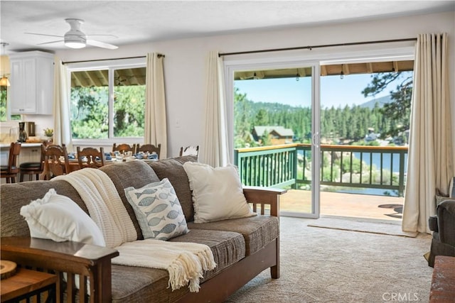 38947 Big Bear Blvd, Big Bear Lake, CA 92315 - photo 10
