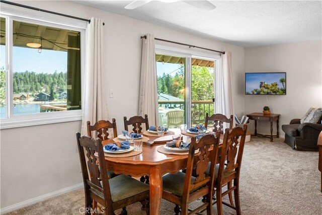 38947 Big Bear Blvd, Big Bear Lake, CA 92315 - photo 15