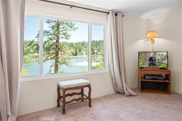 38947 Big Bear Blvd, Big Bear Lake, CA 92315 - photo 34