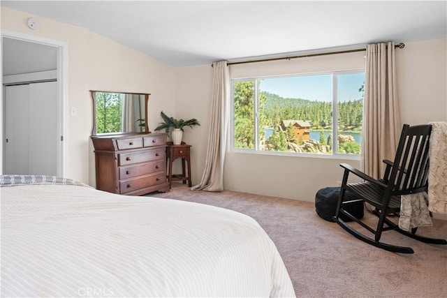 38947 Big Bear Blvd, Big Bear Lake, CA 92315 - photo 30
