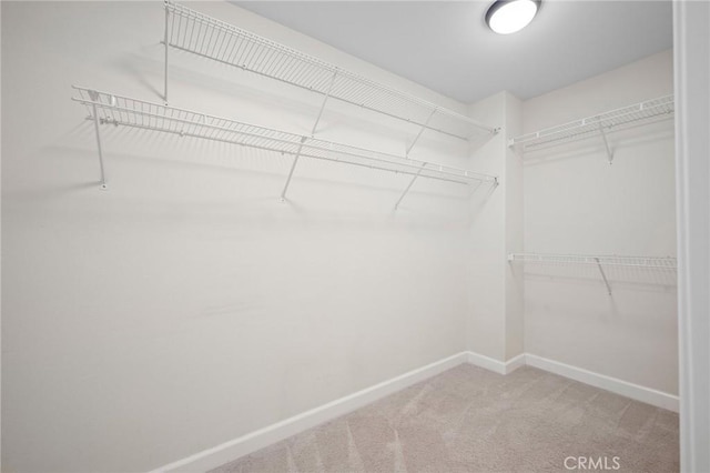 21658 Canyon Heights Cir, Saugus, CA 91390 - walk in closet featuring carpet