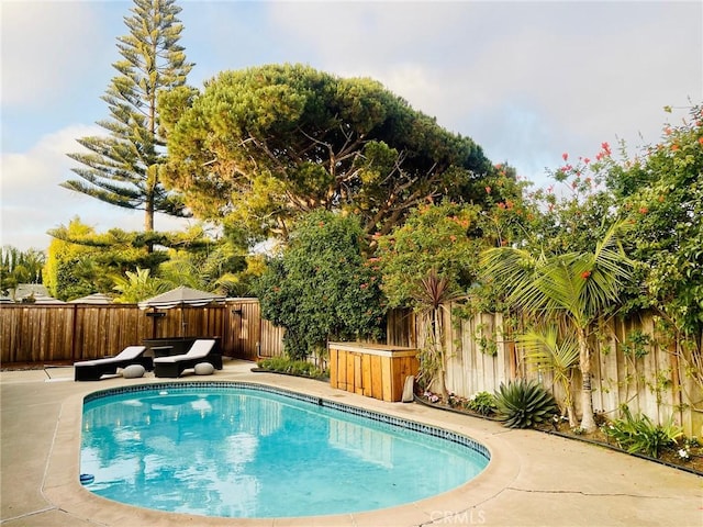 1212 Dover Dr, Newport Beach, CA 92660 - view of swimming pool featuring a fenced backyard and a patio area