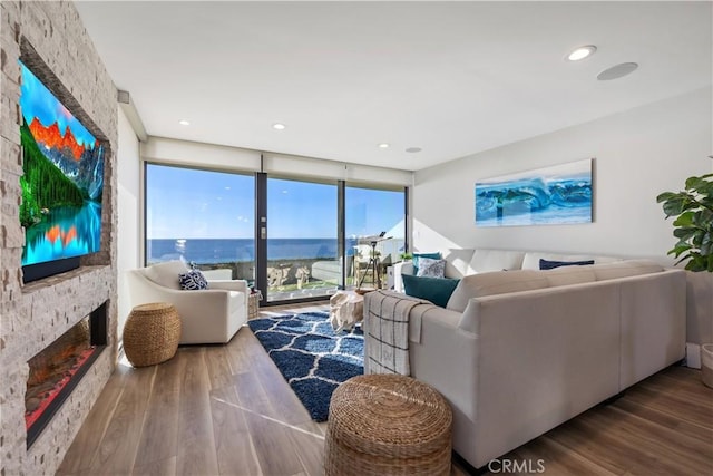 335 W I St, Encinitas, CA 92024 - living area featuring a fireplace, wood finished floors, a wall of windows, and a water view