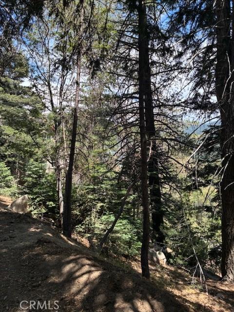 248 Old Toll Rd, Lake Arrowhead, CA 92317