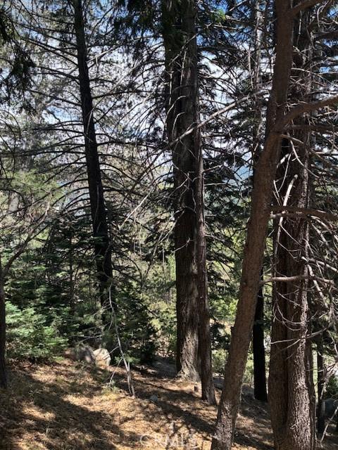 248 Old Toll Rd, Lake Arrowhead, CA 92317