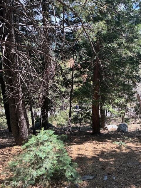 248 Old Toll Rd, Lake Arrowhead, CA 92317