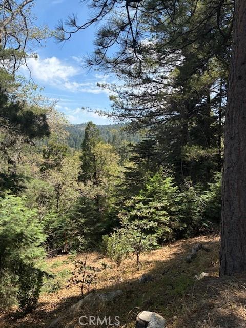 248 Old Toll Rd, Lake Arrowhead, CA 92317