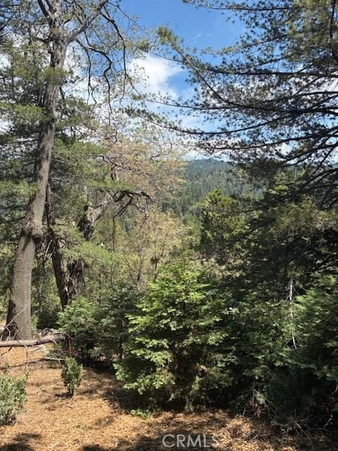 248 Old Toll Rd, Lake Arrowhead, CA 92317