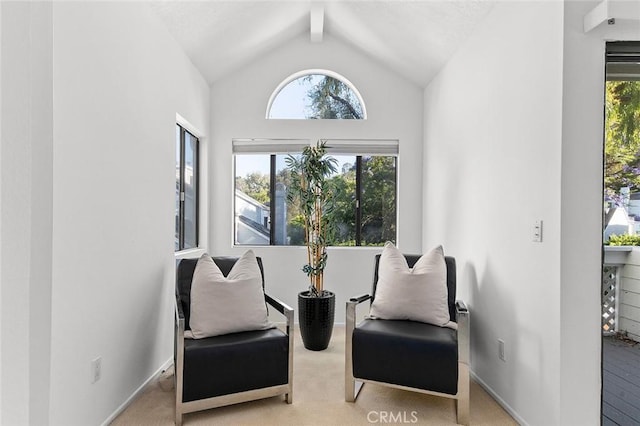 1150 W Capitol Dr Unit 76, San Pedro, CA 90732 - photo 24