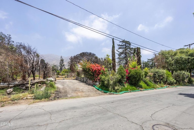 2989 Santa Rosa Ave, Altadena, CA 91001 - photo 7