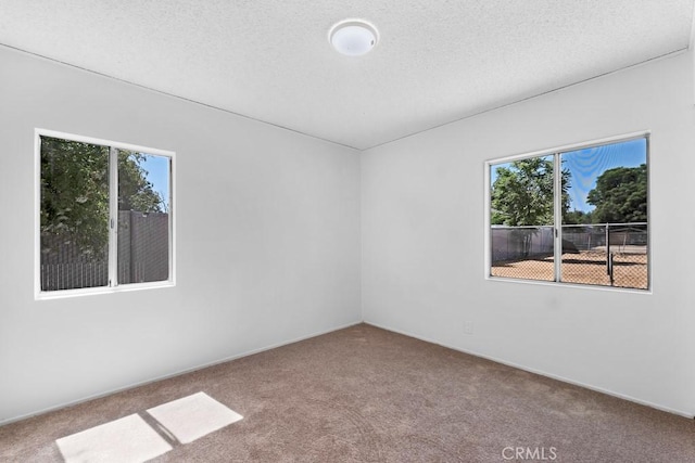 19147 Ingomar St, Reseda, CA 91335 - carpeted empty room featuring healthy amount of natural light and a textured ceiling