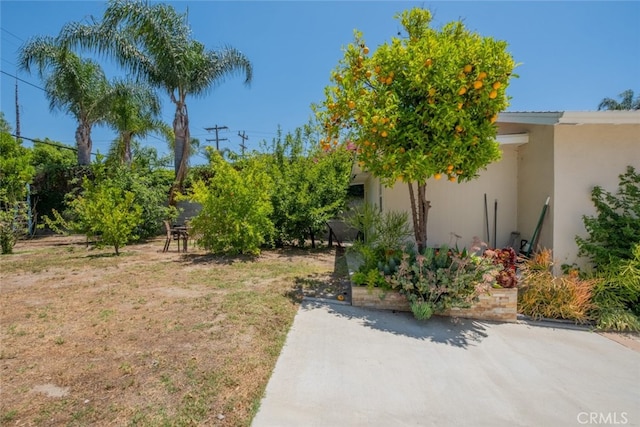 1741 Wabasso Way, Glendale, CA 91208 - view of yard with a patio area