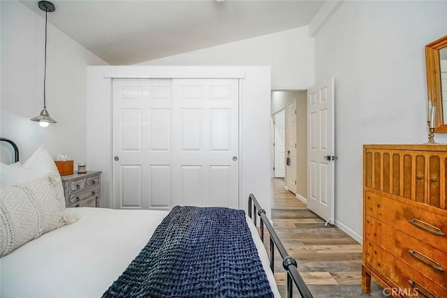 1001 Gibralter Rd, Landers, CA 92285 - bedroom featuring vaulted ceiling, wood finished floors, and a closet