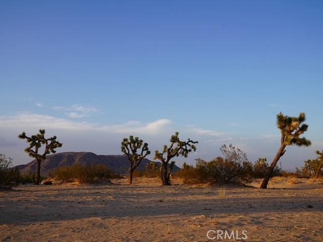 1001 Gibralter Rd, Landers, CA 92285 - photo 48