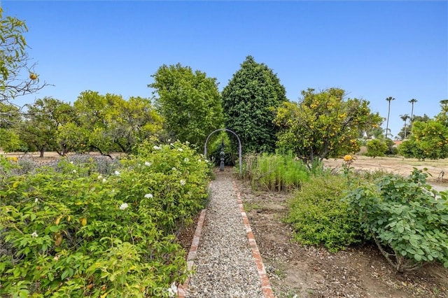 5729 Grandview Ave, Yorba Linda, CA 92886 - view of yard