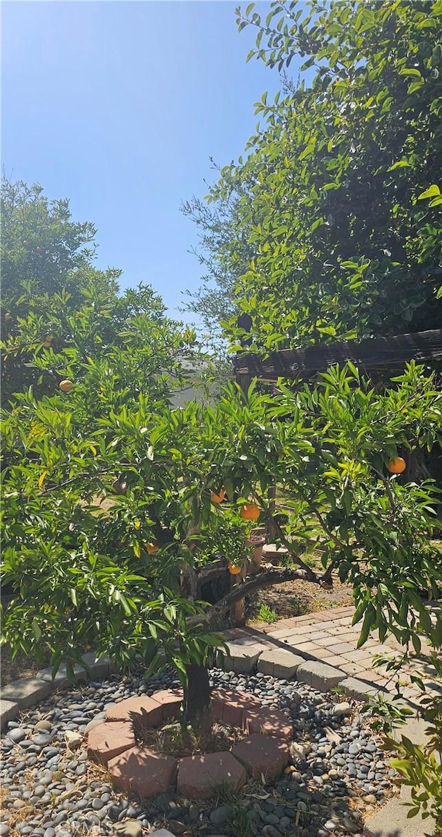 5827 Corbin Ave, Tarzana, CA 91356 - view of local wilderness