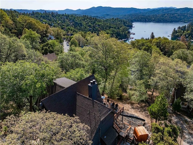 997 Nadelhorn Dr, Lake Arrowhead, CA 92352 - photo 44