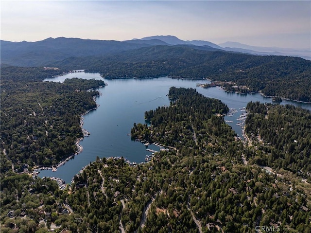 997 Nadelhorn Dr, Lake Arrowhead, CA 92352 - photo 46