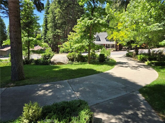 644 W Burnt Cedar Rd, Lake Almanor, CA 96137 - photo 4
