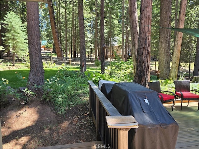 644 W Burnt Cedar Rd, Lake Almanor, CA 96137 - photo 9
