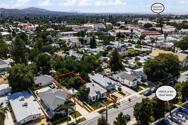 238 Myrtle St, Redlands, CA 92373 - photo 35