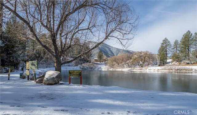 2005 Freeman Dr, Pine Mountain Club, CA 93222 - photo 7