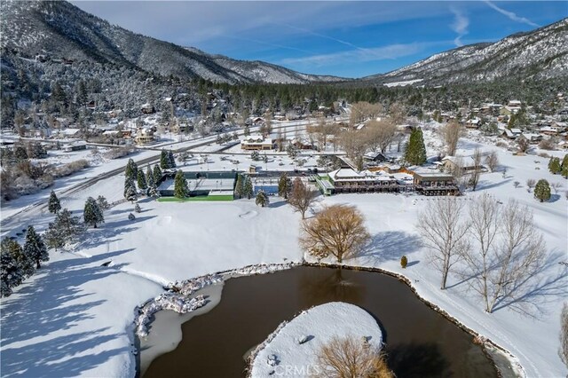 2005 Freeman Dr, Pine Mountain Club, CA 93222 - photo 8