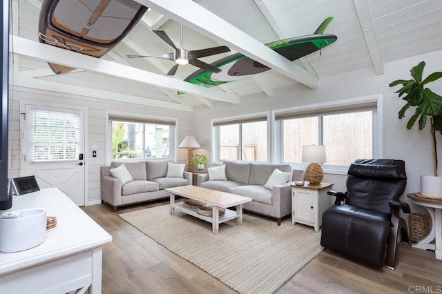 121 Cadmus St, Encinitas, CA 92024 - living area featuring light wood-style flooring, a ceiling fan, and plenty of natural light