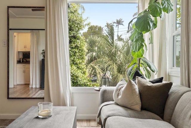 216466 S 40th St, San Diego, CA 92113 - living area with light wood-style floors and healthy amount of natural light